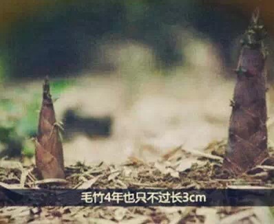 晾衣杠|什么叫价值?(深度好文)