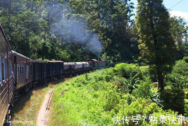 铁路|斯里兰卡高山茶园火车 速度比汽车还慢 挂火车成为一种时尚