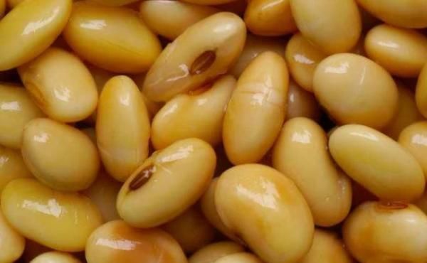 植物蛋白|女人别太节俭,多吃4种“零嘴”,补充雌激素,60岁也不显老