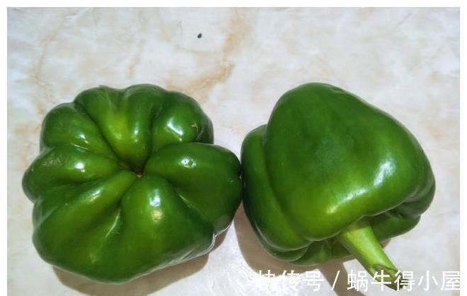 香气|青椒炒肉,先放青椒还是先放肉?按照大厨的做法,出锅香气扑鼻