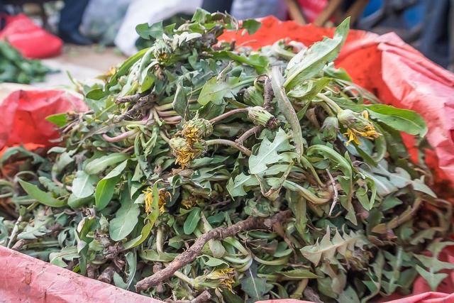 香菇|“嘌呤大户”被发现？高尿酸者，建议少碰，看看你是否爱吃？