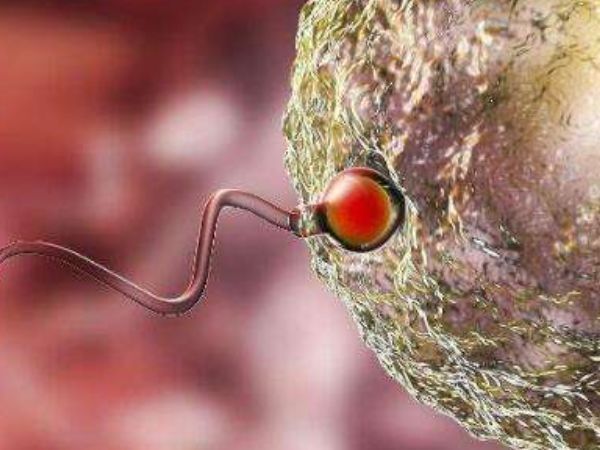 恢复|生完宝宝后这个“时间段”来月经,恭喜你,子宫恢复的很好!