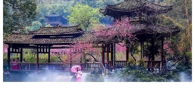 黄渤|《向往5》官方亲自下场官宣,最终收官时间点确定,观众:不够看