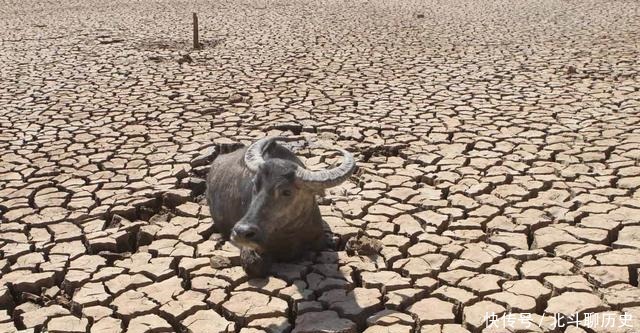 大旱|商汤“七年之旱”和《圣经》“七年大旱”其实就是同一场大旱