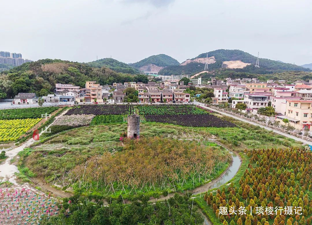 妈祖|这座800年古村，竟成为当地唯一的国家级最美乡村，还不要门票