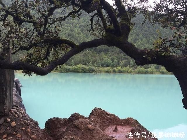 中年|云南旅游时间最佳，适合去云南旅游的季节，金花轻松游