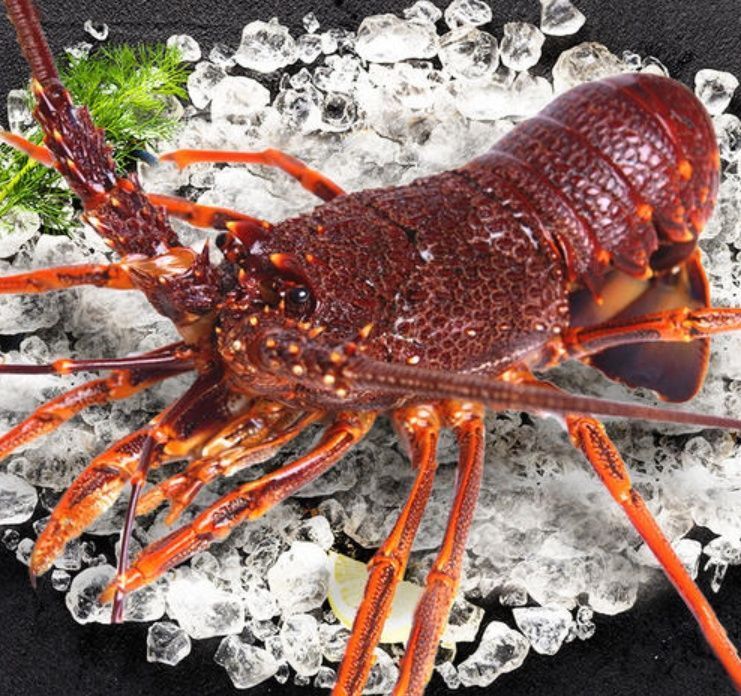 位数|据说这5种海鲜吃一顿至少4位数?有钱可能全吃过,没钱只听说过