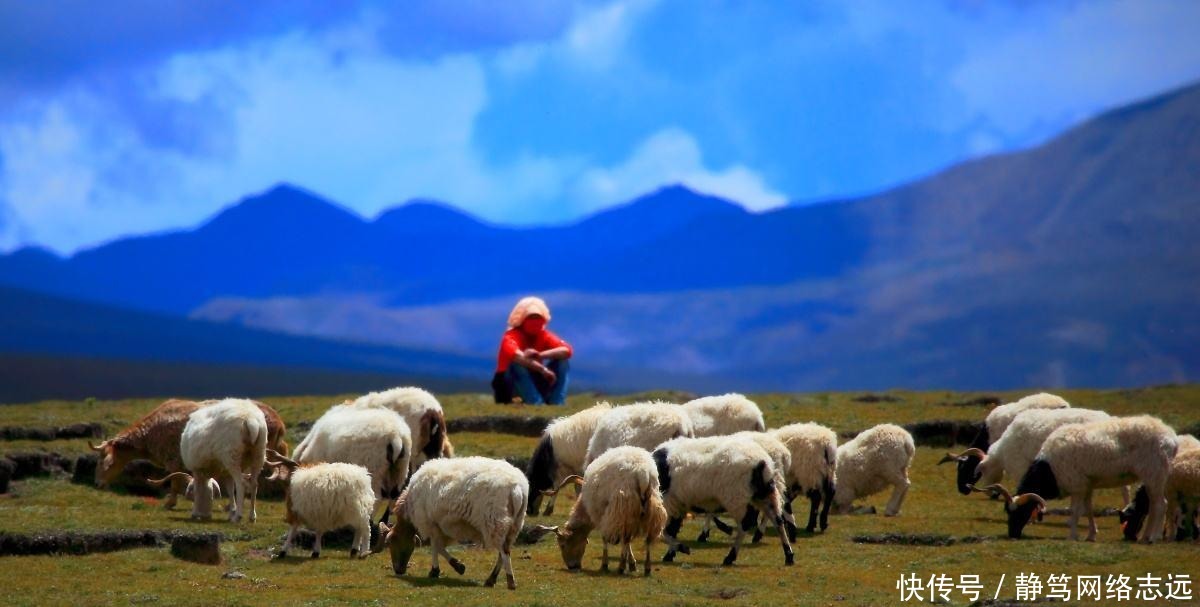  女人|这个女人忽然发现自己是敕勒人，先祖唱响敕勒歌，如今成了蒙古族
