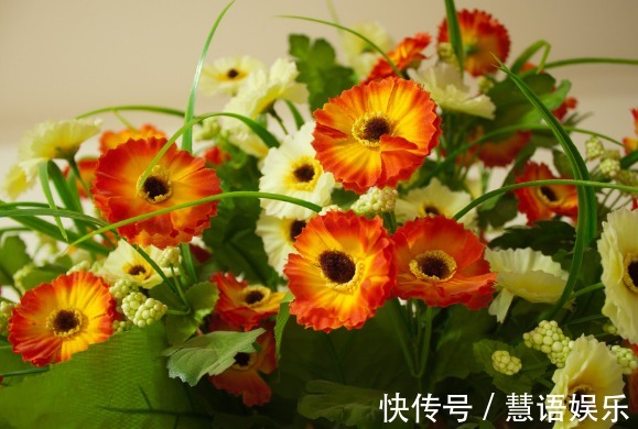 家中不适合养的花,或许你还不知道,学完教教家里人!