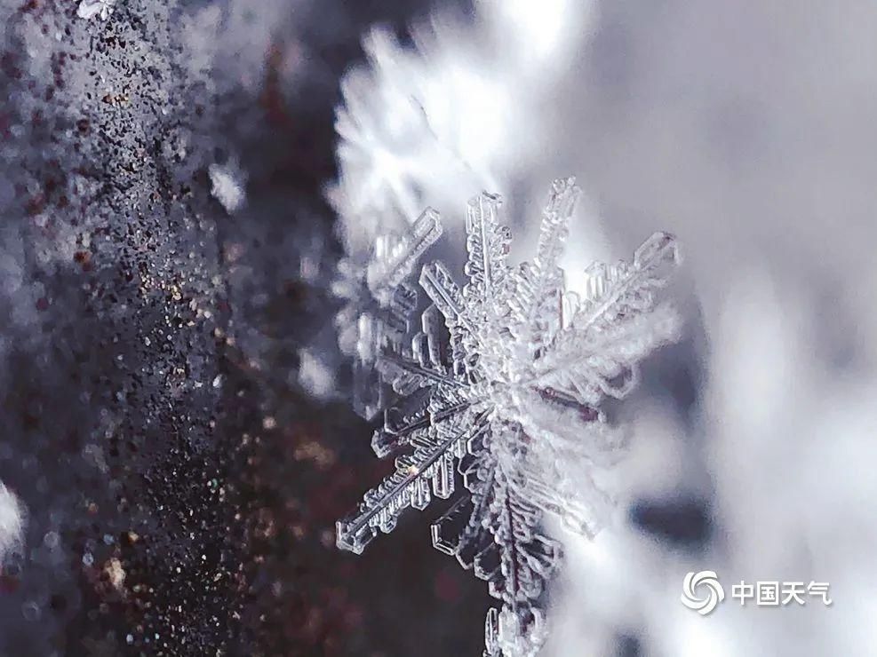 北京下雪了！故宫红墙白雪琉璃瓦美如画