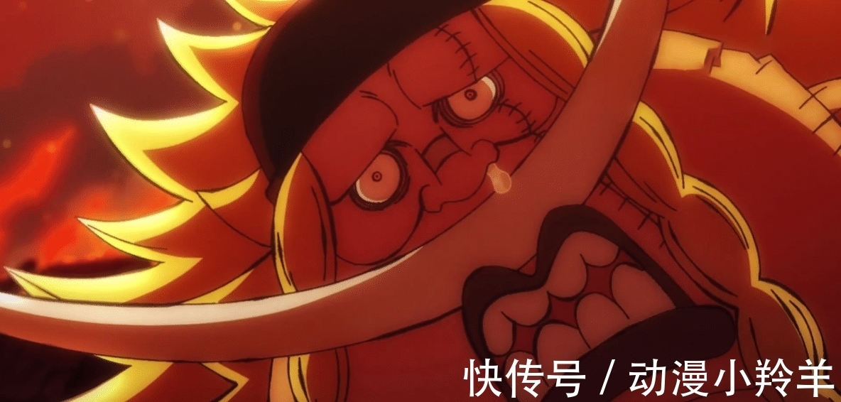 概率|海贼王:七武海逃生概率如何?女帝90%逃生率,但100%被抓!鹰眼无敌