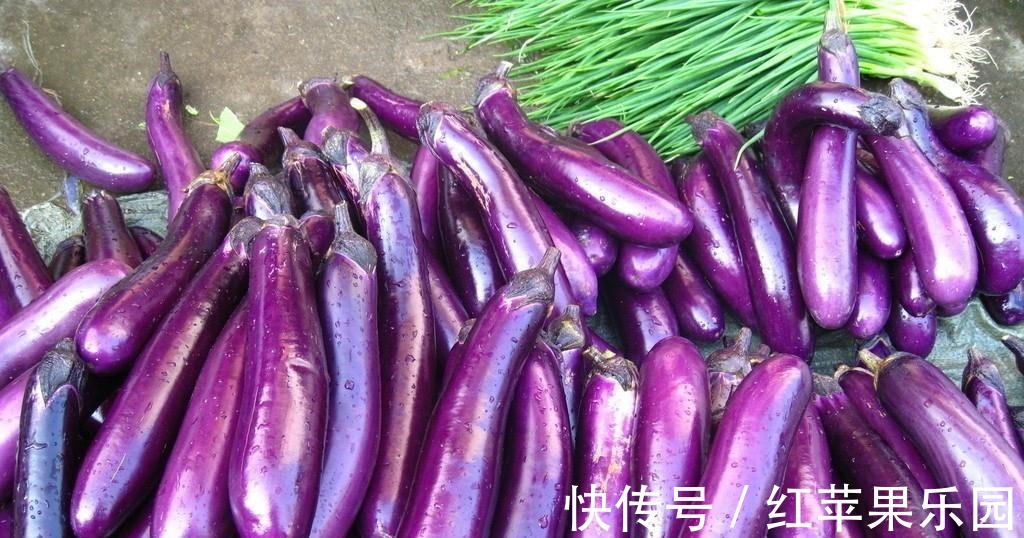 小米椒|蒸茄子，直接蒸不好吃！多做1个步骤，茄子不发黑，更鲜嫩更入味