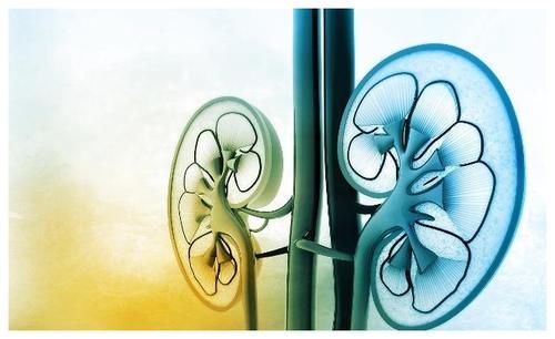 男性朋友|肾好的男人,通常没有“2黑、2臭”,若你也如此,真值得炫耀