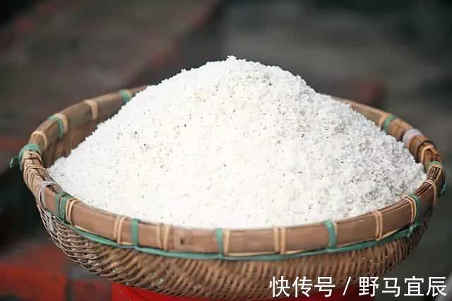 健胃|胃不好的人，大胆吃六物，健胃更养胃，胃病不复发