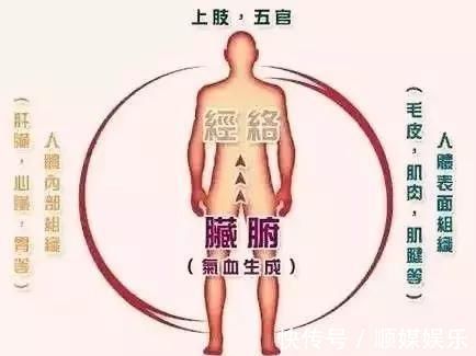 人体|搞懂了人体“三焦”，所有疑难杂症，都迎刃而解