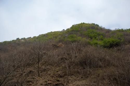 寻访秦岭大沟，石墙后出现一间房子，房子孤零零的，但大门却开着