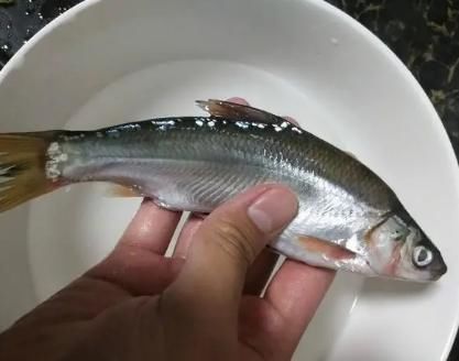 淀粉|炸鱼时，用面粉还是淀粉？都不对！教你正确做法，酥脆鲜嫩特别香