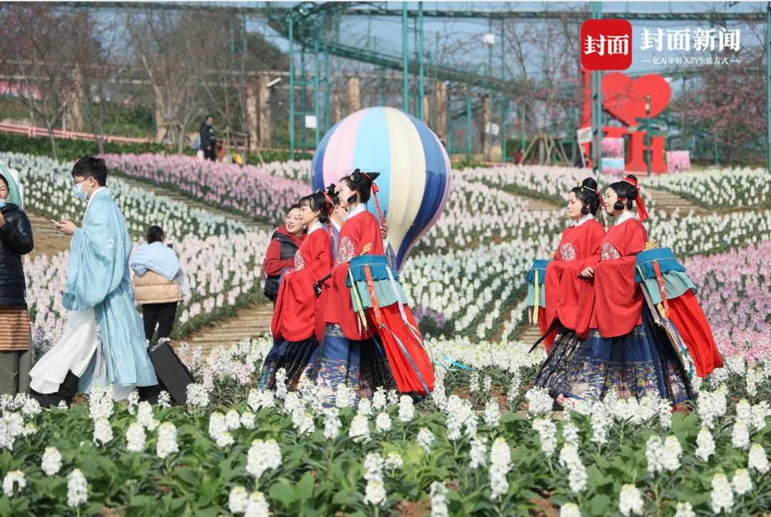 定情信物#情人节遇上元宵节 成都“国风”花海盛宴太浪漫