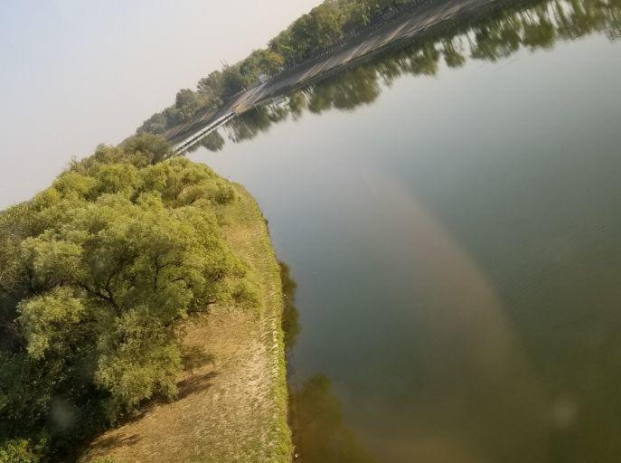 浇灌|给花浇点“开花水”,花苞全都冒出来,比激素还管用!