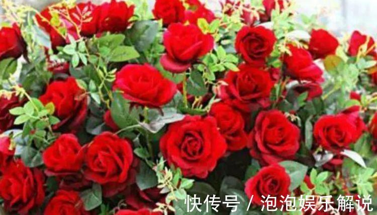 5种花最适合养阳台，婀娜多姿、香飘怡人，寓意美好