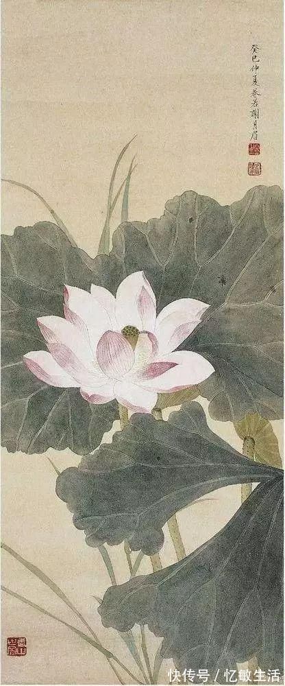 花鸟!她凭天赋自学书画,画画不到20年,却堪称“花鸟圣手”,成为一代传奇
