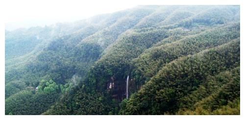 森林|国内不可错过的森林，许多著名的电影景点，藏有世界各地山珍