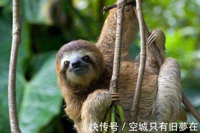 购车&十个冷知识:尽可能不要全款去购车!