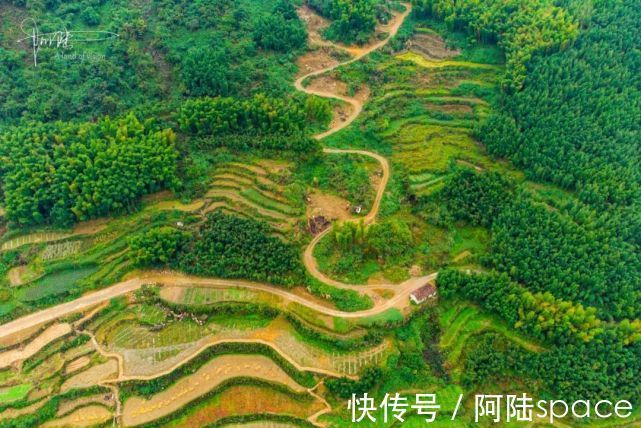 小村|这个杭州的山间小村，有竹海和梯田，美得像油画一样