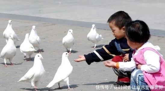 4岁女童脾胃衰弱，育儿主任：3种食物或会“毁掉”孩子胃脾