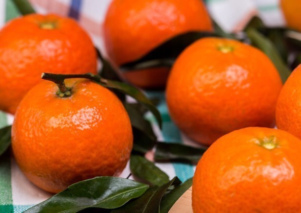 身高|2种水果是孩子发育的“绊脚石”,58岁专家长个慢,春季娃少吃