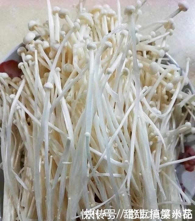 西红柿和它一起煮,隔三差五吃,美白淡斑排宿便,腰肢变细了