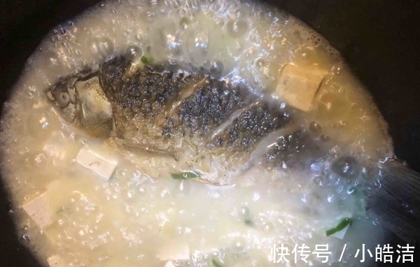 童子鲫|教你鲫鱼汤的正确做法,汤汁又白又鲜,逢年过节做着吃准没错!