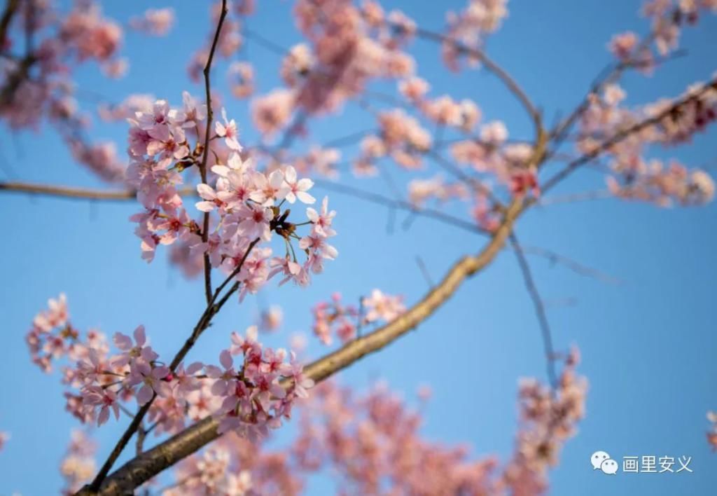 精华|太美了！近处风景！花样南昌……