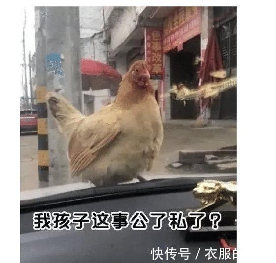 |甜粽和咸肉粽要打起来了  冷段子1830