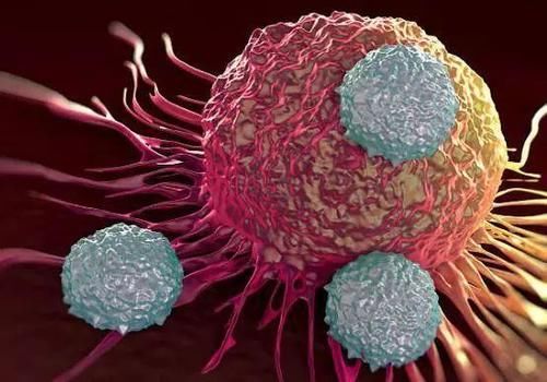 癌细胞|一旦确诊肿瘤,都必须进行化疗吗?多数人不知道,不妨瞅一眼吧!