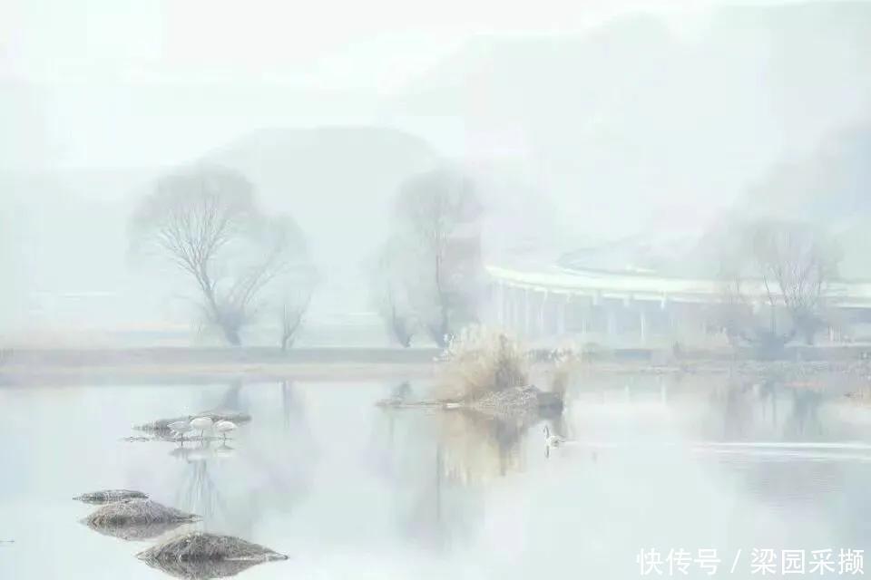 幽梦|散文:红尘静好,一帘幽梦