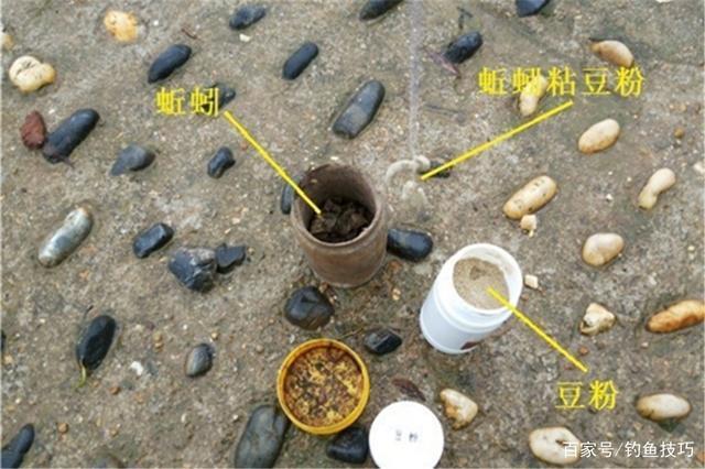 冬钓板鲫,用饵不当会没口,这三种饵料排名前三,气温再低都有口