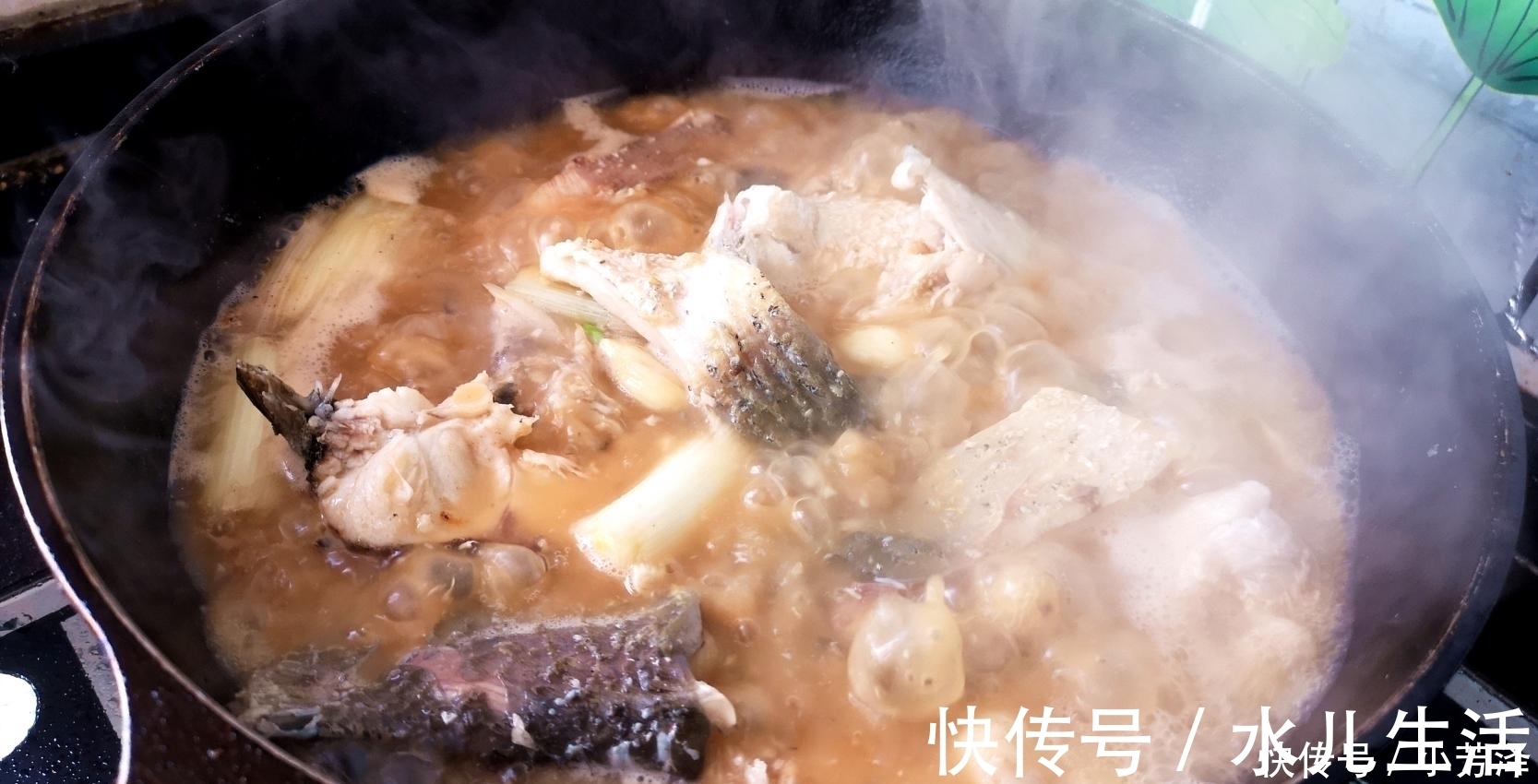 草鱼|炖鱼调料别乱放，10人有8个错放这种调料，难怪越吃越腥，收藏了