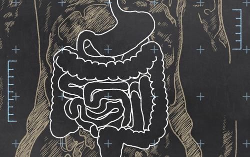 肠道|长期便秘会在让脸发黑吗?医生:常吃这1物,对肠道垃圾说拜拜