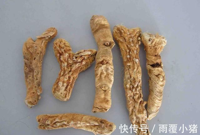 效用|一种味苦而甘的中药,清热泻火、滋阴润燥,效用非常,你知道多少