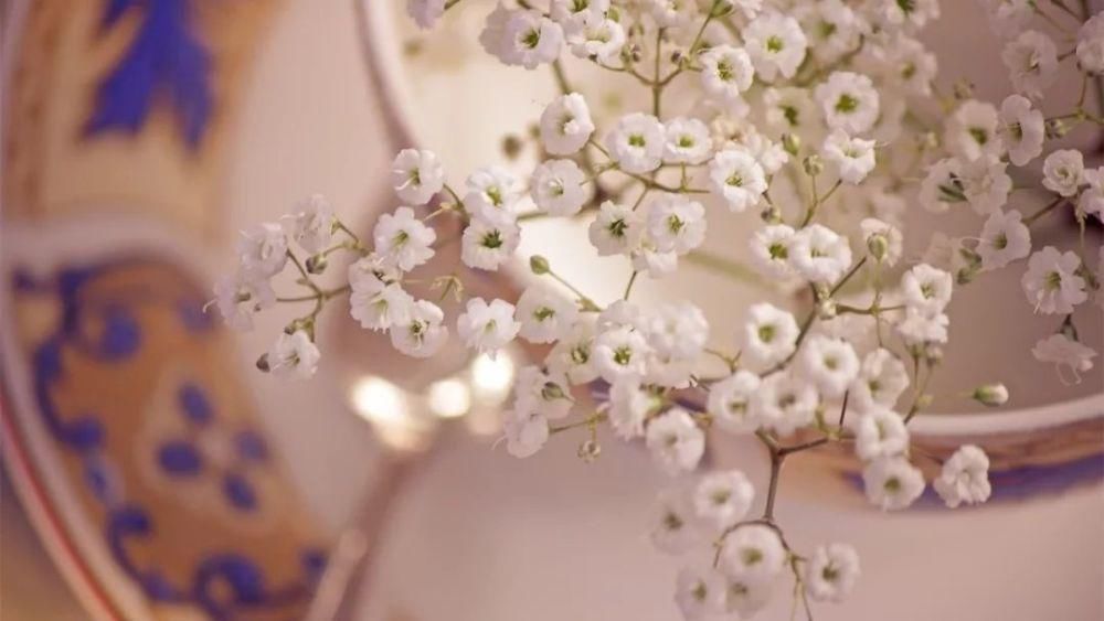  风景|人生皆是风景，愿你学会珍惜