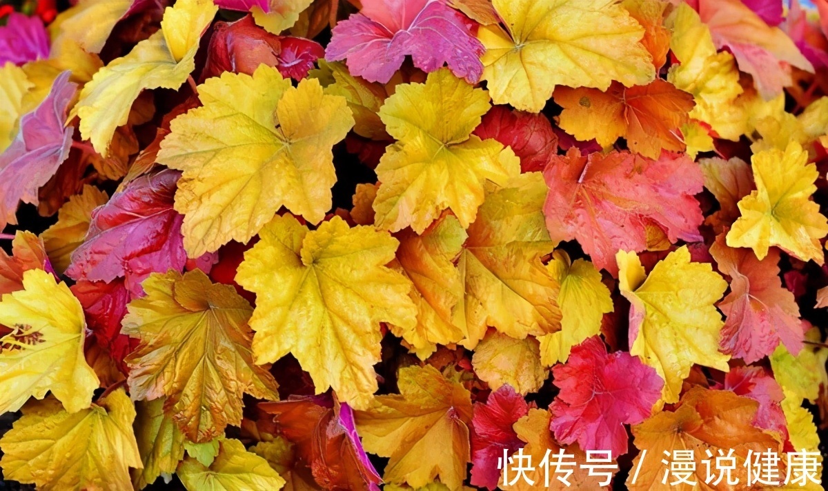 脑卒中|白露之后不能穿凉鞋？比起穿不穿凉鞋，秋天更需要做好这4件事