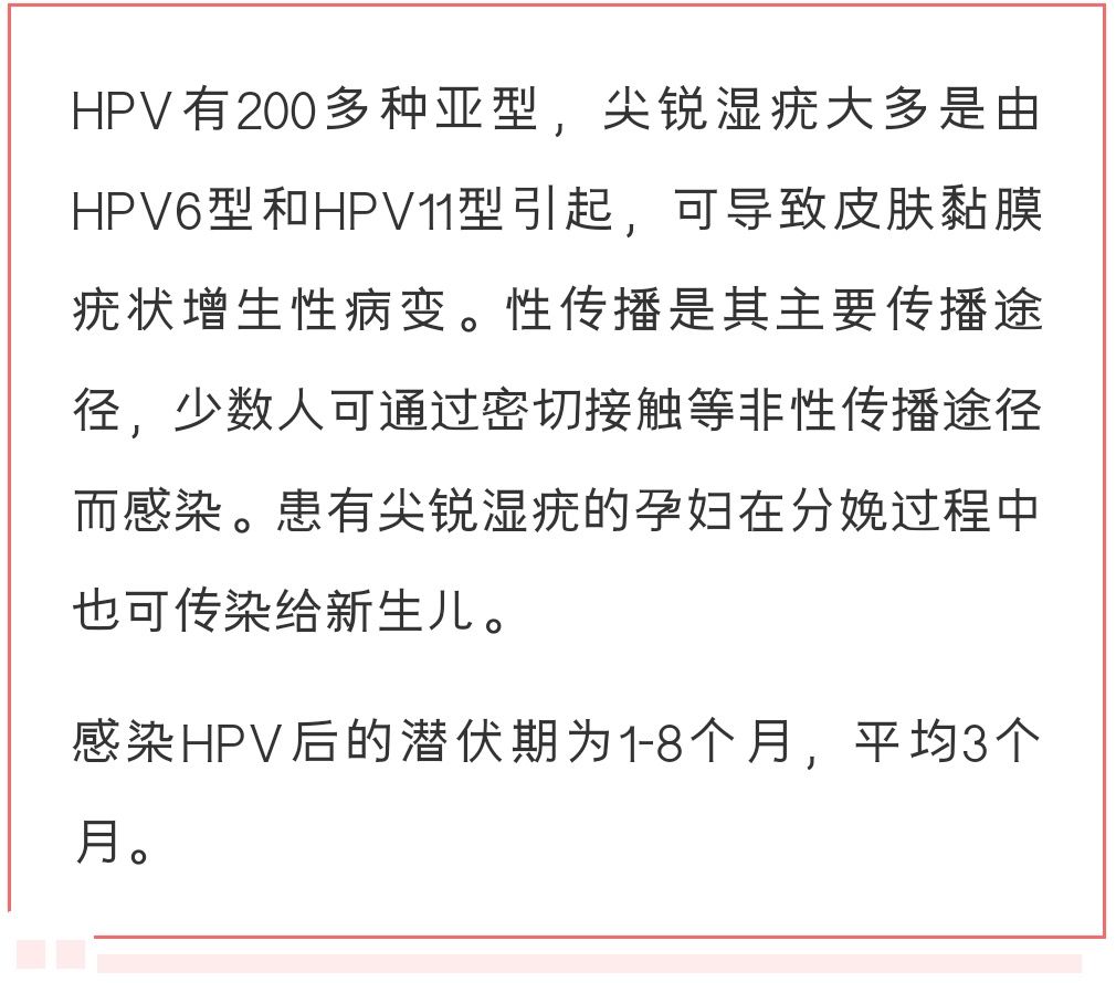  尖锐湿疣|【关注】除了宫颈癌，感染HPV还会导致这种疾病