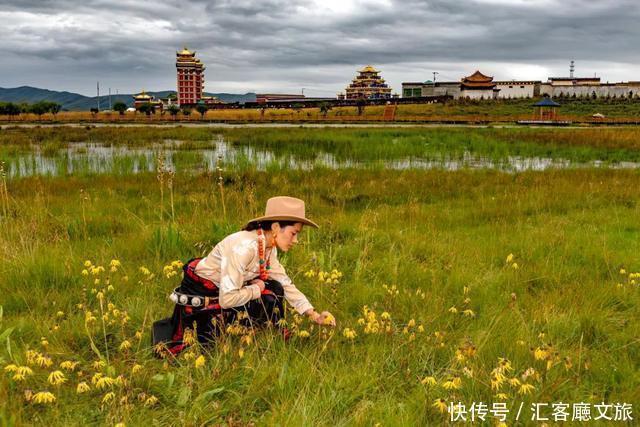 甘南最美的绿色，中国唯一以黄河命名的地方