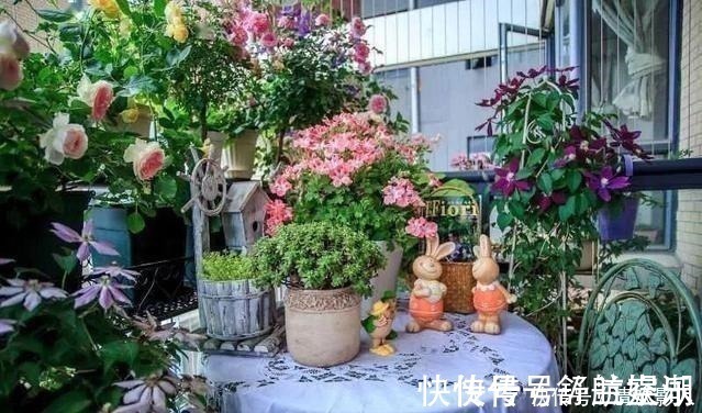 7㎡迷你“阳台造园”小阳台这样布置,也能美成的花园!