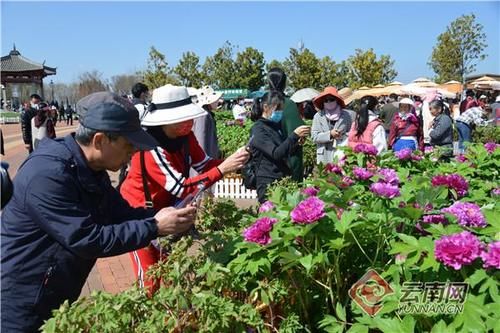 昆明晋宁区春节假日旅游市场总体运行稳中有升
