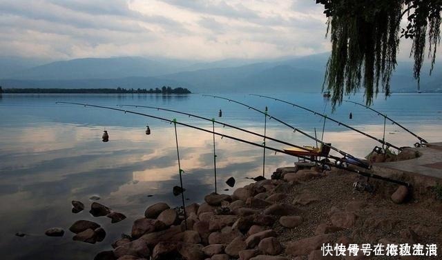 主因|野钓为何不喜欢海竿阵渔获是其次,主因实属无奈