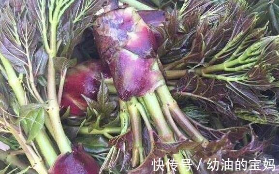 野葱|农村老家常见的15种“不知名”野菜,用对都是宝!你都吃过吗?