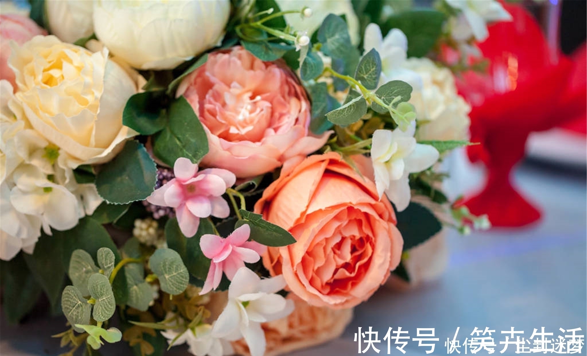 4种年宵花,盆栽美丽、插花诗意,高端大气春暖花开、幸福四季