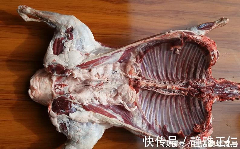 膻味|“绵羊肉”和“山羊肉”有啥区别？味道差别大，学会就懂吃羊肉了